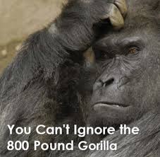 gorilla