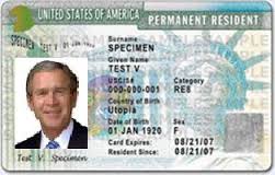 can i drive on international license as green card holder usa